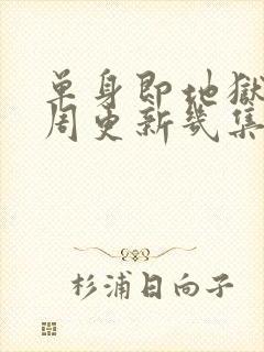 单身即地狱5每周更新几集