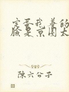 完蛋我养的小白脸是京圈太子爷观看封面