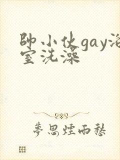 帅小伙gay浴室洗澡