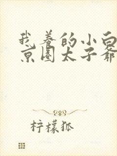 我养的小白脸是京圈太子爷短剧