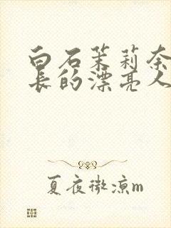 白石茉莉奈被部长的漂亮人妻封面