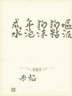 成年狗狗呕吐黄水泡沫粘液