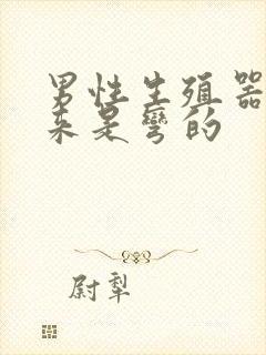 男性生殖器硬起来是弯的