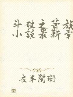 斗破之萧族冰圣小说最新章节