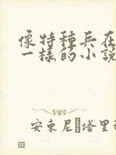 像特种兵在都市一样的小说