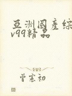 亚洲国产综合av99精品