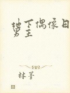 地下偶像日漫双男主