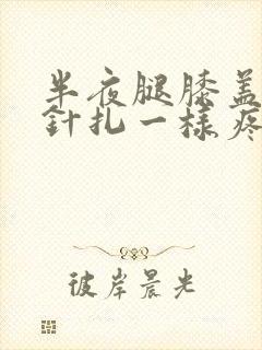 半夜腿膝盖里像针扎一样疼封面