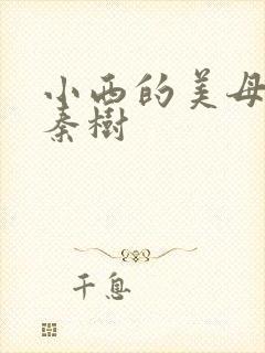 小西的美母教师秦树