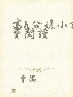 高h公媳小说免费阅读