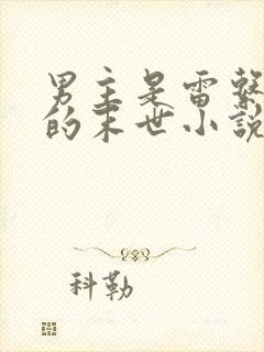 男主是雷系异能的末世小说