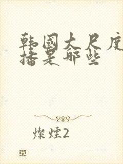 韩国大尺度女主播是哪些