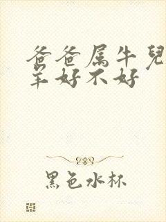 爸爸属牛儿子属羊好不好