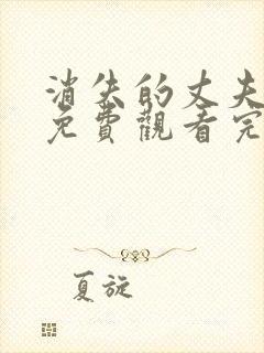 消失的丈夫电影免费观看完整版