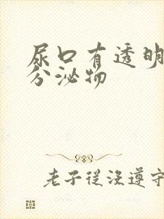 尿口有透明粘性分泌物