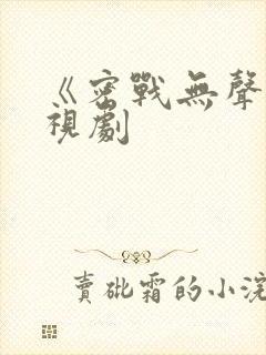 《密战无声》电视剧