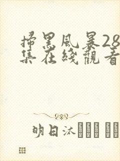 扫黑风暴28全集在线观看