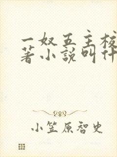 一奴五主校花原著小说叫什么