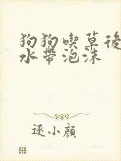 狗狗吃草后吐黄水带泡沫