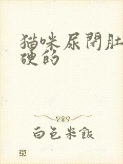 猫咪尿闭肚子硬硬的