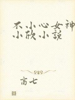 不小心女神女友小欣小说封面