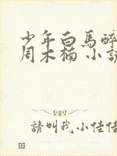 少年白马醉春风周木楠 小说