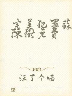 完美犯罪苏小小陈树免费