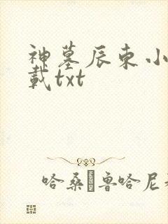 神墓辰东小说下载txt封面