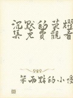 沉默的荣耀40集免费观看全集高清