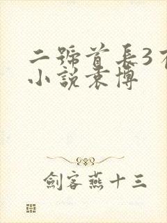 二号首长3有声小说袁博