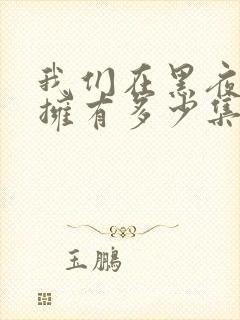 我们在黑夜中相拥有多少集