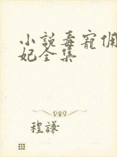 小说毒宠佣兵王妃全集