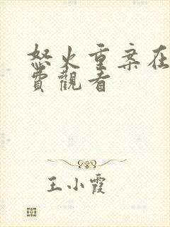 怒火重案在线免费观看