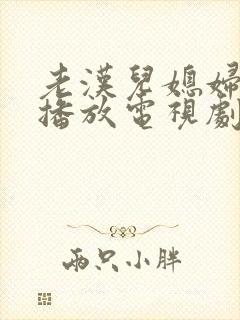 老汉儿媳妇免费播放电视剧