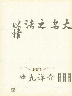 以法之名大概剧情