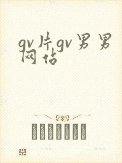 gv片gv男男网站