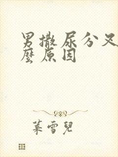 男撒尿分叉是什么原因封面