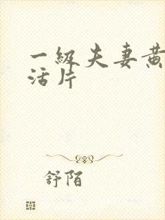 一级夫妻黄色生活片