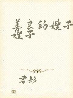 善良的嫂子/好嫂子封面