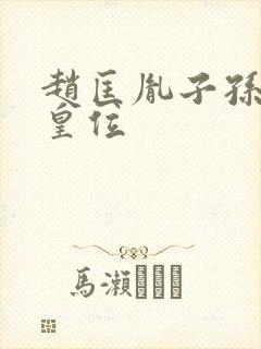 赵匡胤子孙夺回皇位