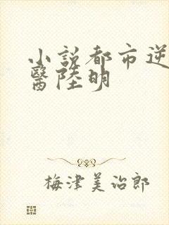 小说都市逆天邪医陆明