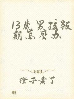 13岁男孩叛逆期怎么办