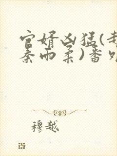 官婿凶猛(赵阳秦雨柔)番外+大结局