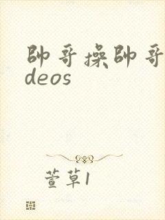 帅哥操帅哥videos