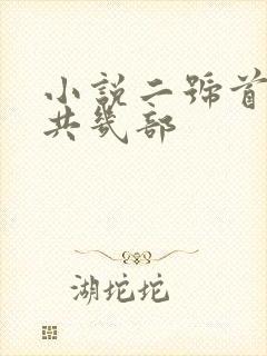 小说二号首长一共几部