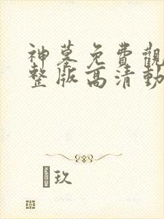 神墓免费观看完整版高清动漫在线