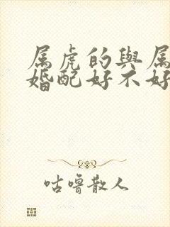 属虎的与属鼠的婚配好不好