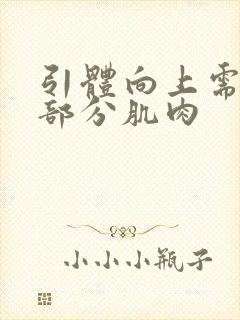 引体向上需要哪部分肌肉