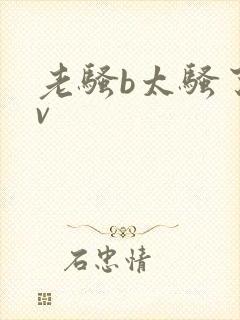 老骚b太骚了av