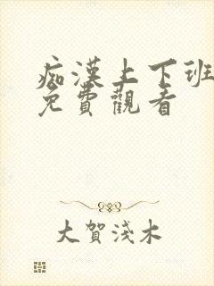 痴汉上下班电车免费观看